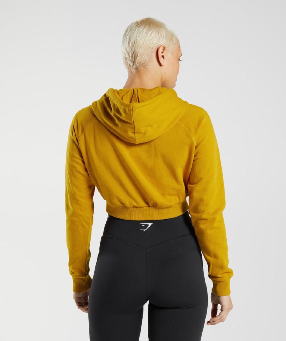 Sudadera Con Capucha Gymshark Entrenamiento Cropped Mujer Amarillo | CO 2020YXF